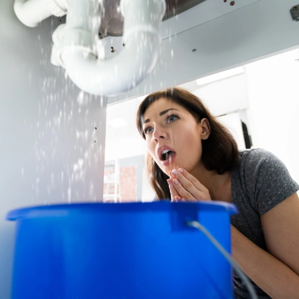 emergency plumber salt lake